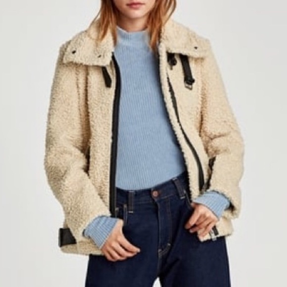 zara teddy jackets